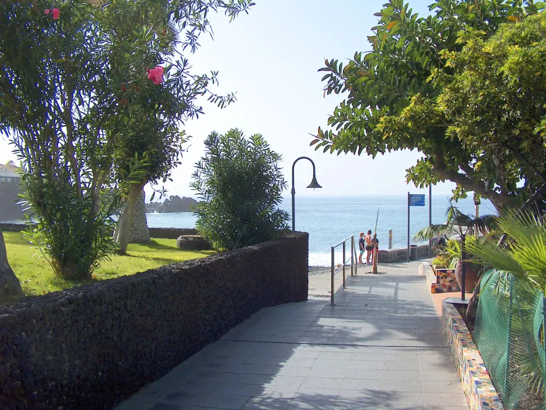 Location de Vacances Puerto de Santiago 4