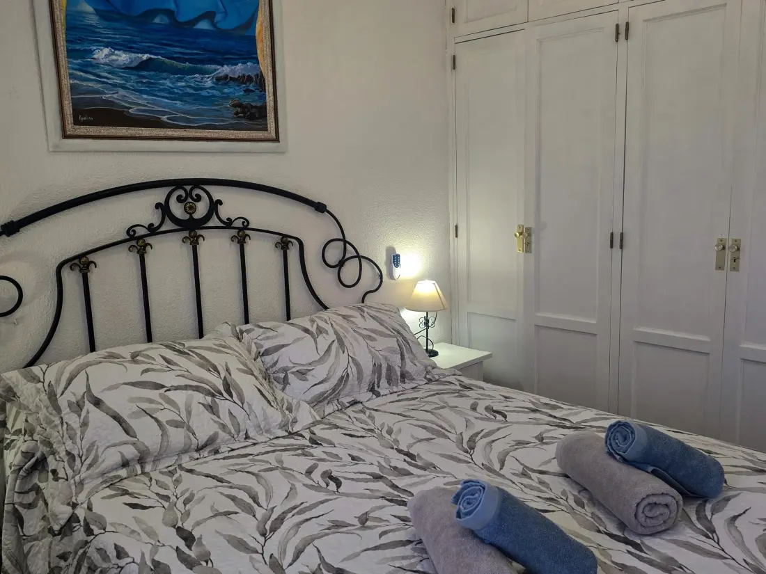 Location de Vacances Puerto de Santiago 8