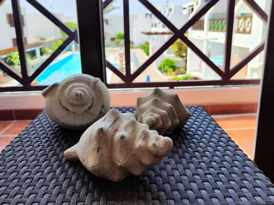 Location de Vacances Puerto del Carmen 70