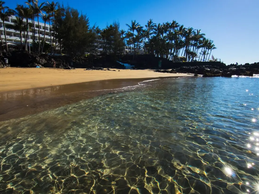 Location de Vacances Puerto del Carmen 77