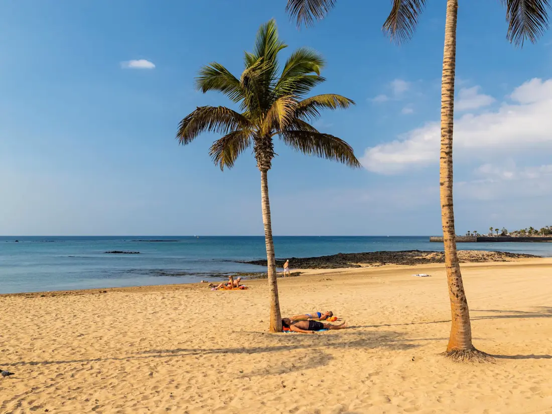 Location de Vacances Puerto del Carmen 78