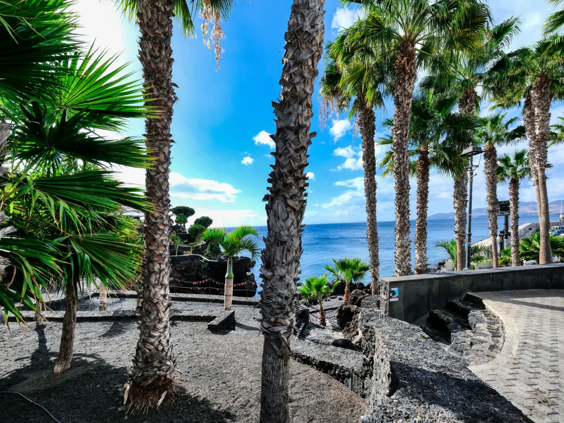 Maison de Vacances Puerto del Carmen 39