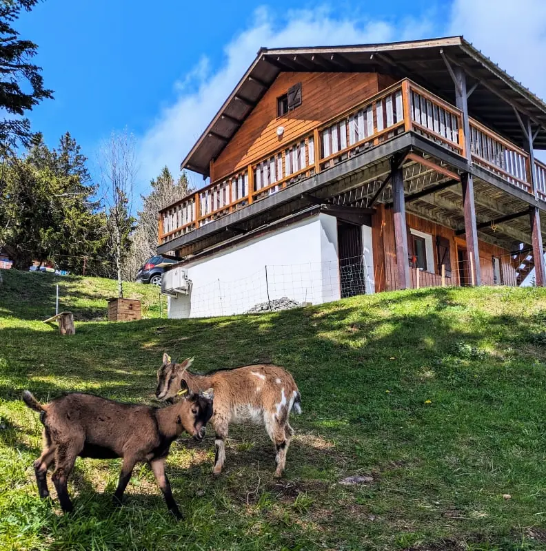 Magnifique Chalet , Vue Sur Le Mont Blanc 3 étoiles★★★