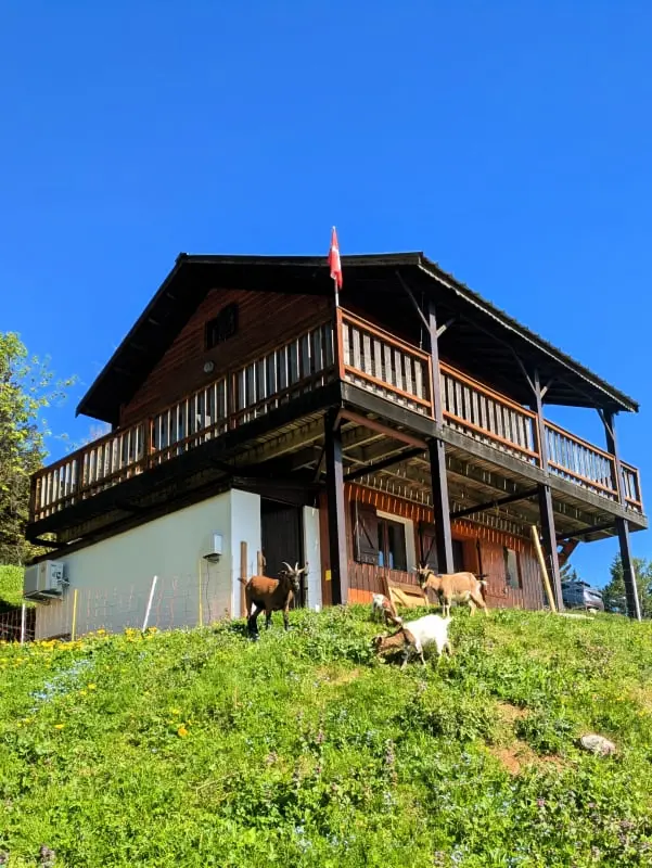 Magnifique Chalet , Vue Sur Le Mont Blanc 3 étoiles★★★