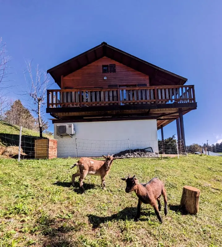 Magnifique Chalet , Vue Sur Le Mont Blanc 3 étoiles★★★