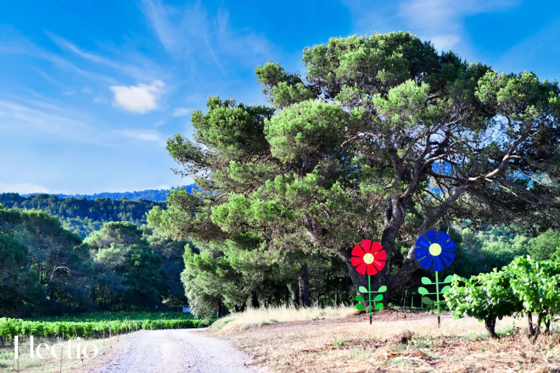 Grande Bastide | Domaine Tour Campanets