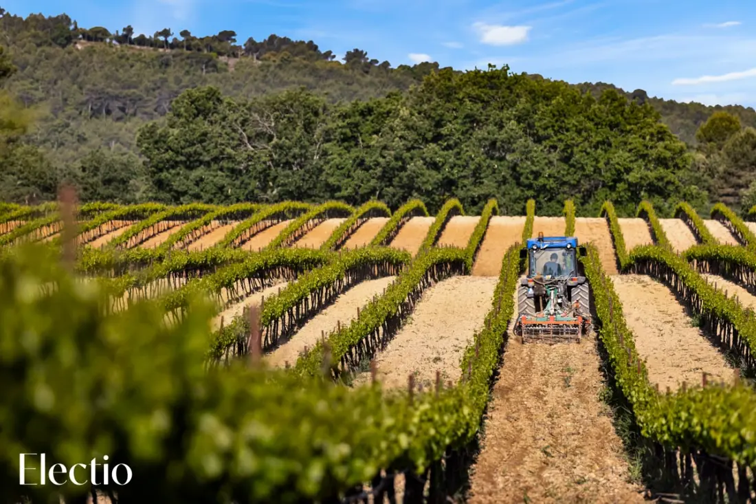 Grande Bastide | Domaine Tour Campanets