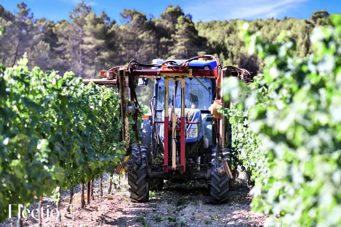 Grande Bastide | Domaine Tour Campanets