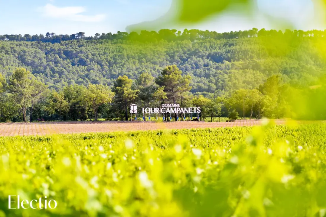 Grande Bastide | Domaine Tour Campanets
