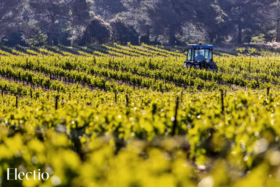 Grande Bastide | Domaine Tour Campanets