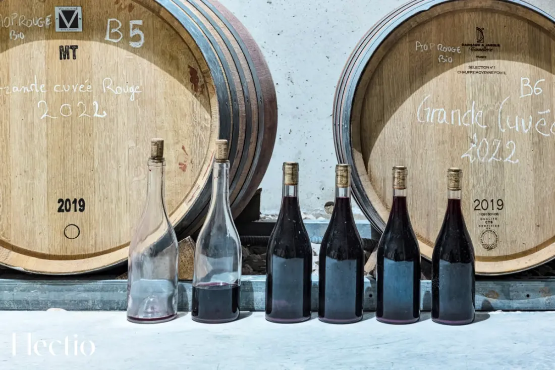 Le Pigeonnier | Domaine Tour Campanets