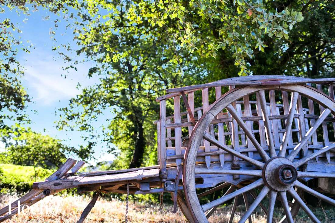 Le Pigeonnier | Domaine Tour Campanets