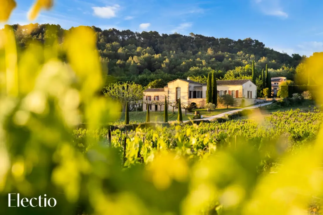 Petite Bastide | Domaine Tour Campanets