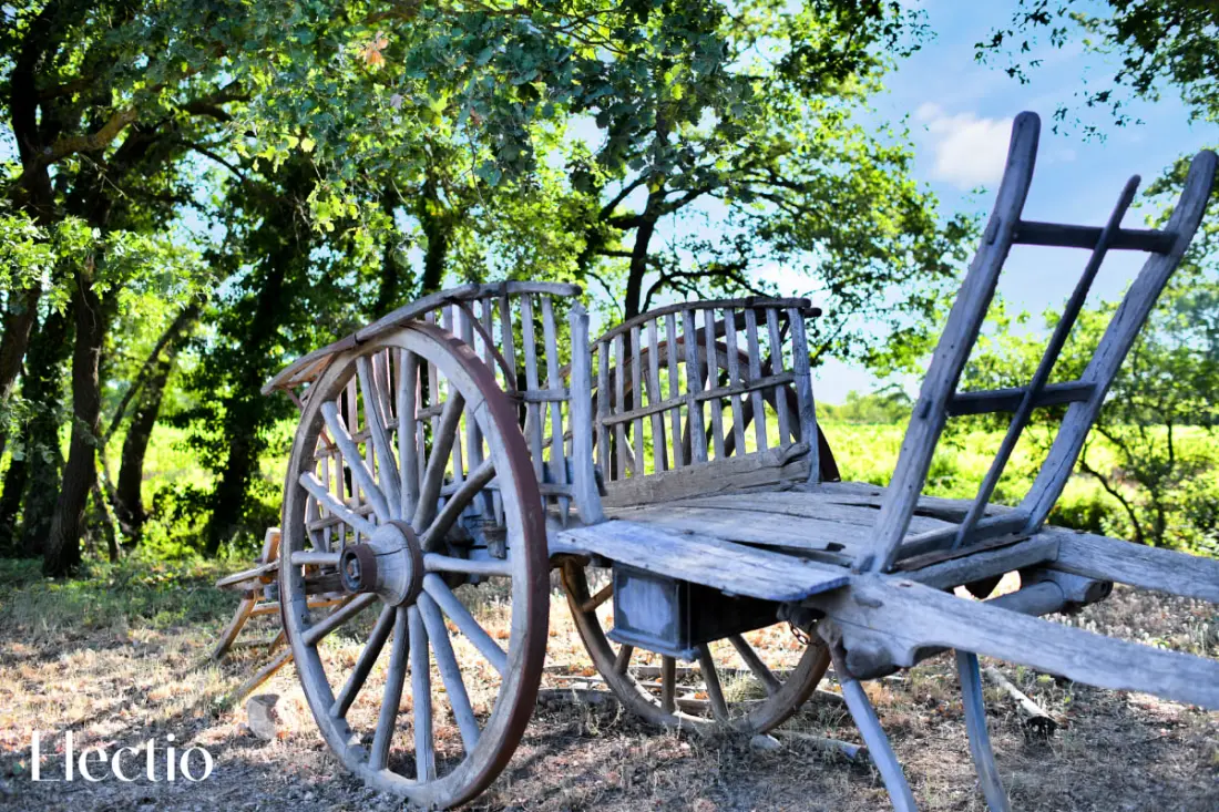 Petite Bastide | Domaine Tour Campanets