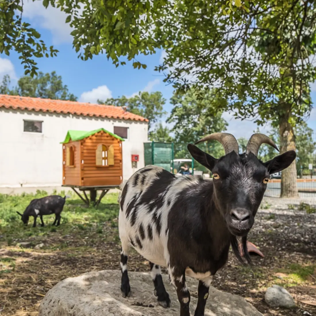 Camping le Merval 3 étoiles★★★