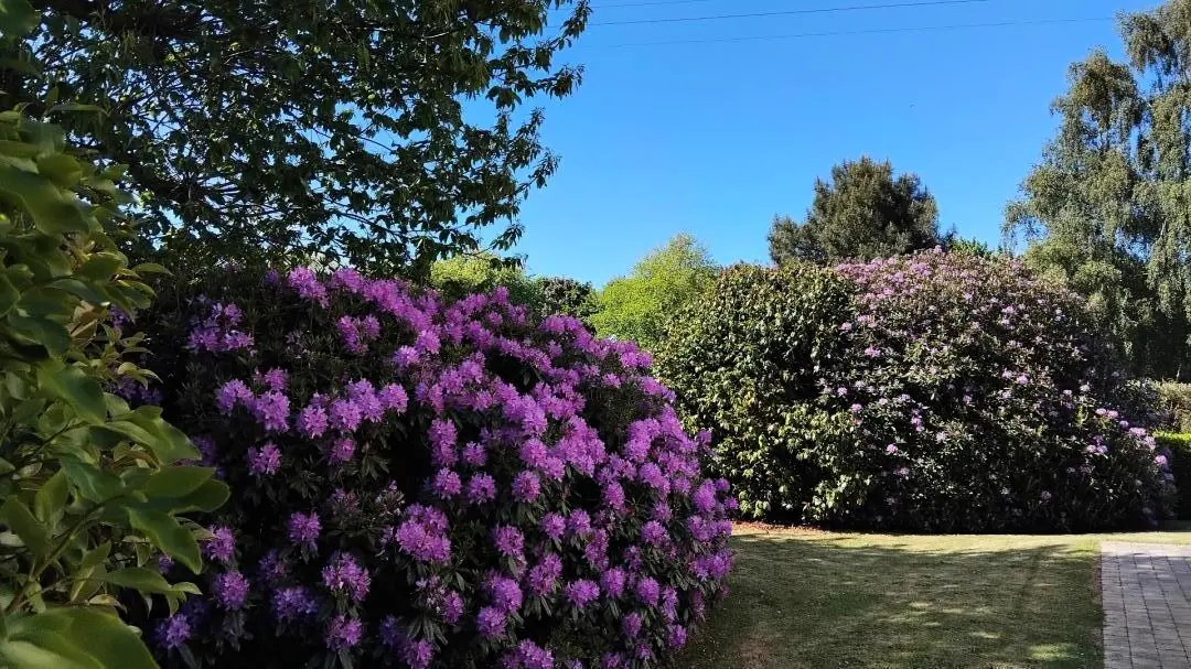Gîte de France La maison de kerhalvez 2 épis