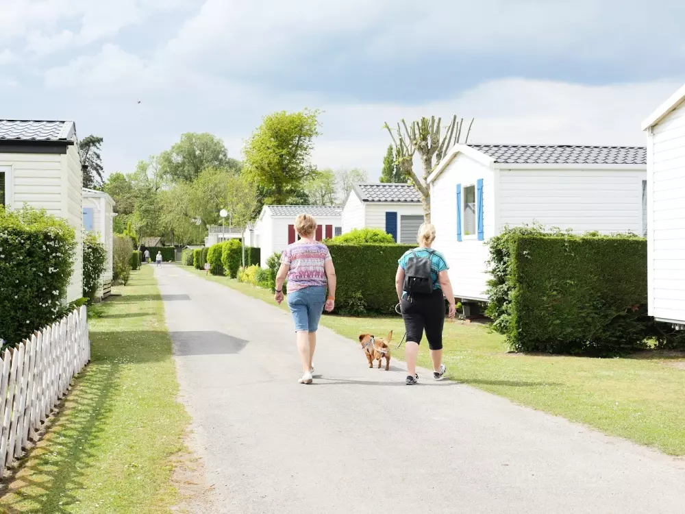 Camping Paradis Les Roses 4 étoiles★★★★