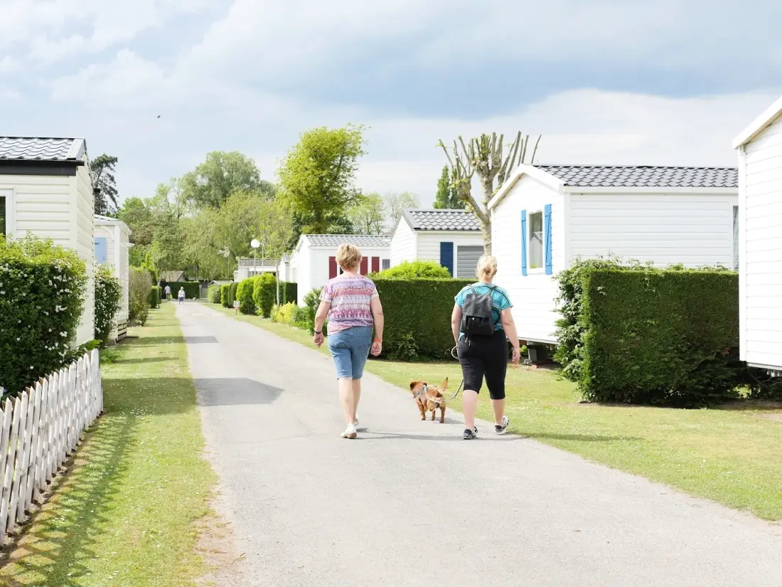 Camping Paradis Les Roses 4 étoiles★★★★