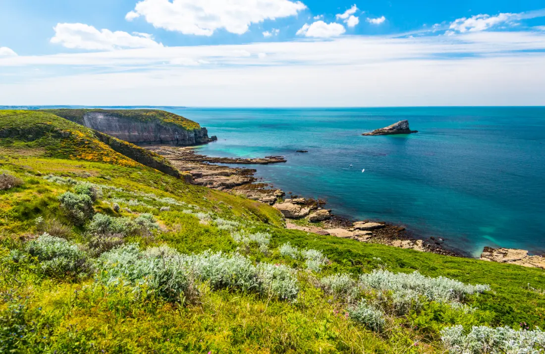Camping Le Bois d'Amour 4 étoiles★★★★ - Maeva Camping