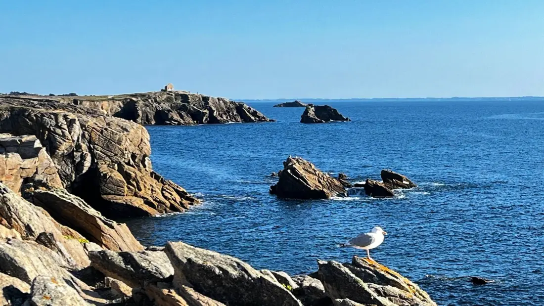 Résidence Les Cormorans