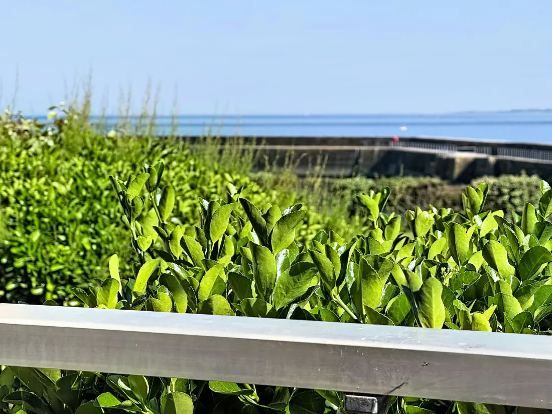 Résidence Les Terrasses Port Maria