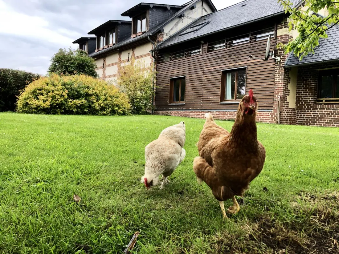 Gîte de France Gîtes de france® - la ferme d'antan 2 épis
