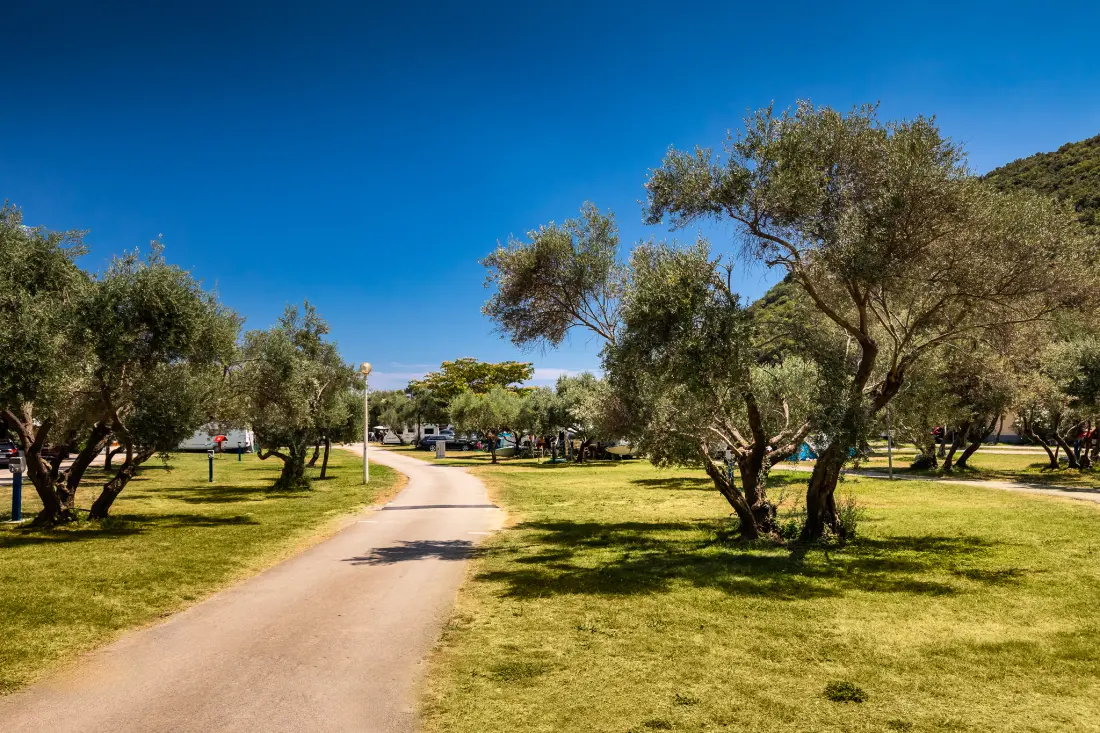 Camping Oliva3 étoiles★★★
