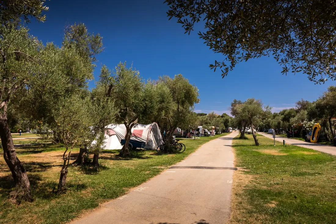 Camping Oliva3 étoiles★★★