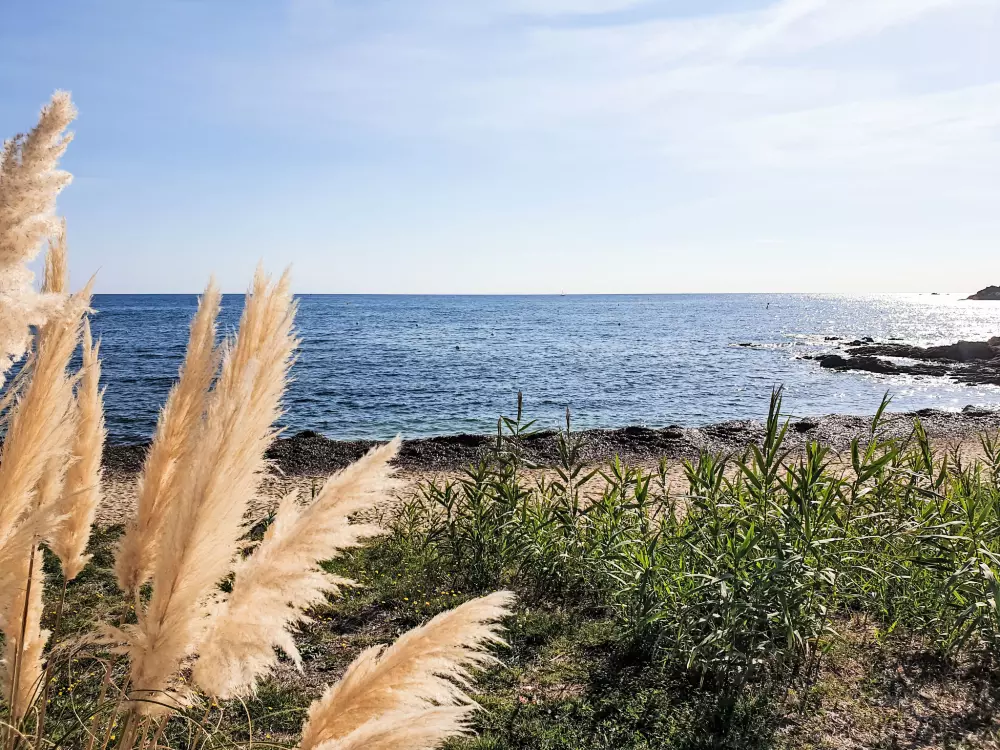 Résidence Bonne Terrasse