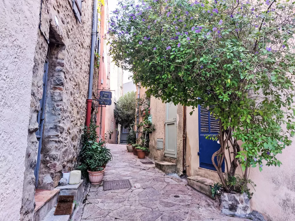 Résidence Villa La Romane