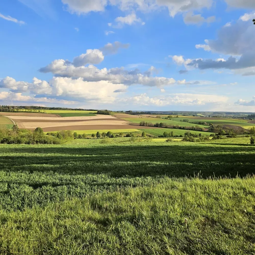 Camping la Dolce Vita