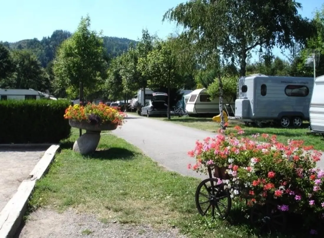 Flower Camping Les Bouleaux 4 étoiles★★★★