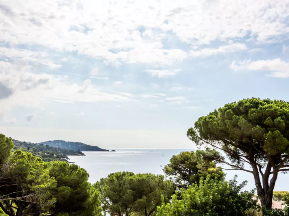 Résidence Le Paradou