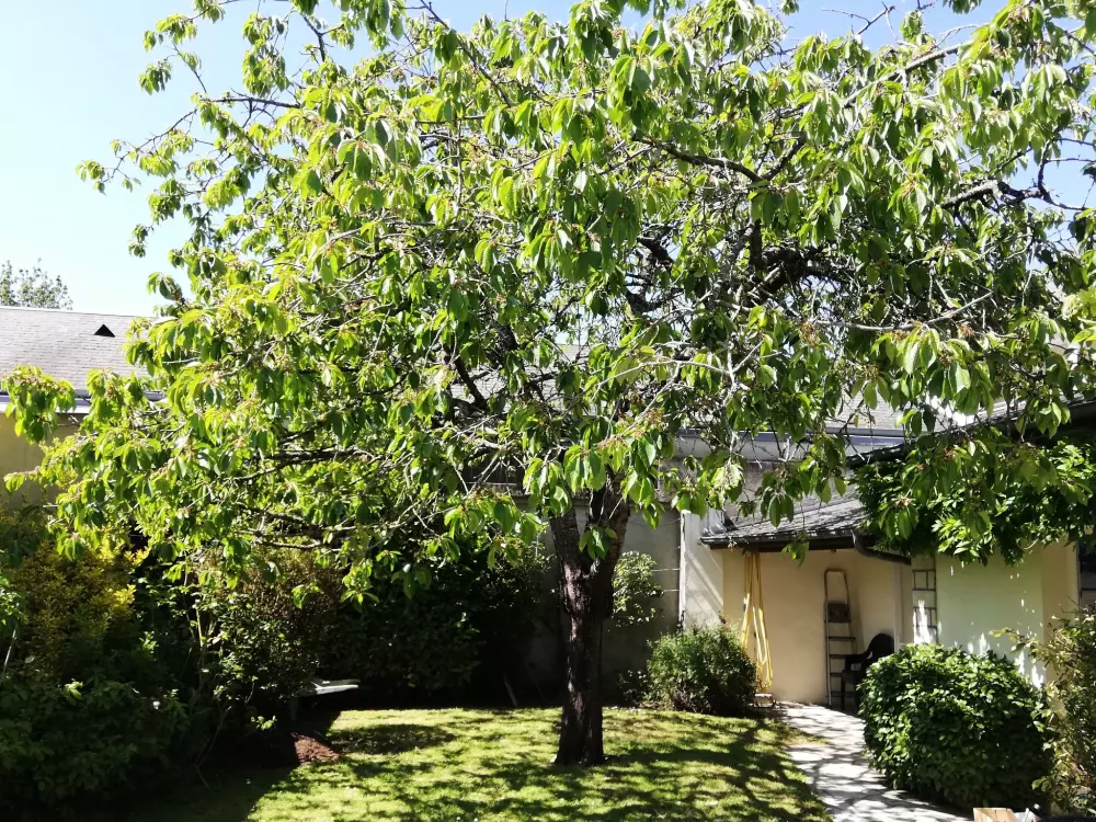 Maison de Vacances Régneville-sur-Mer