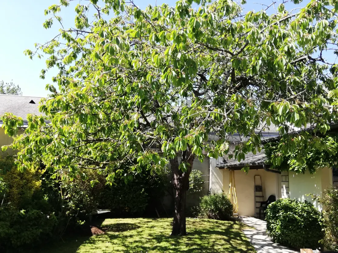 Maison de Vacances Régneville-sur-Mer