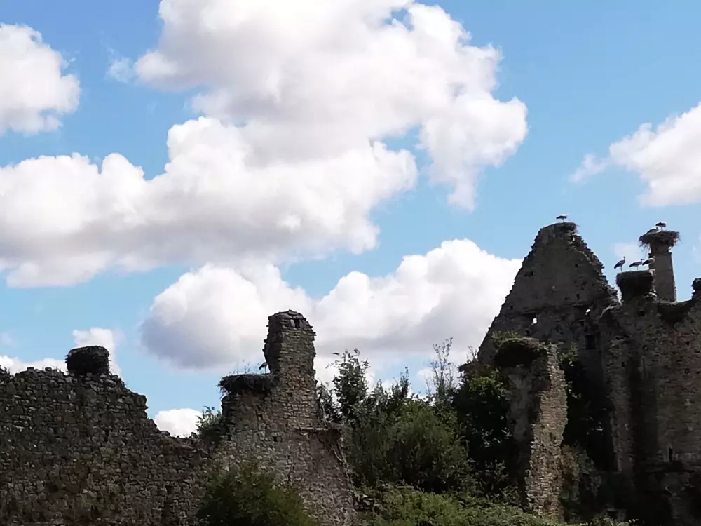 Maison de Vacances Régneville-sur-Mer