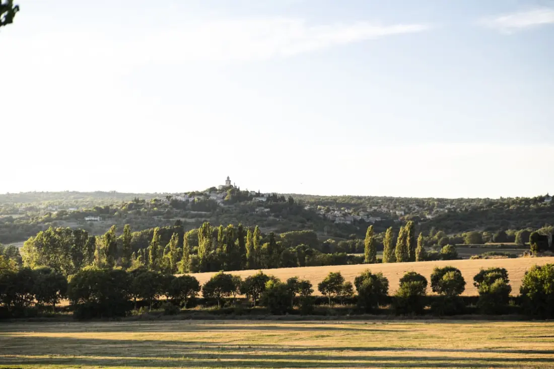 Tiny Alcôve | Domaine Paradis 