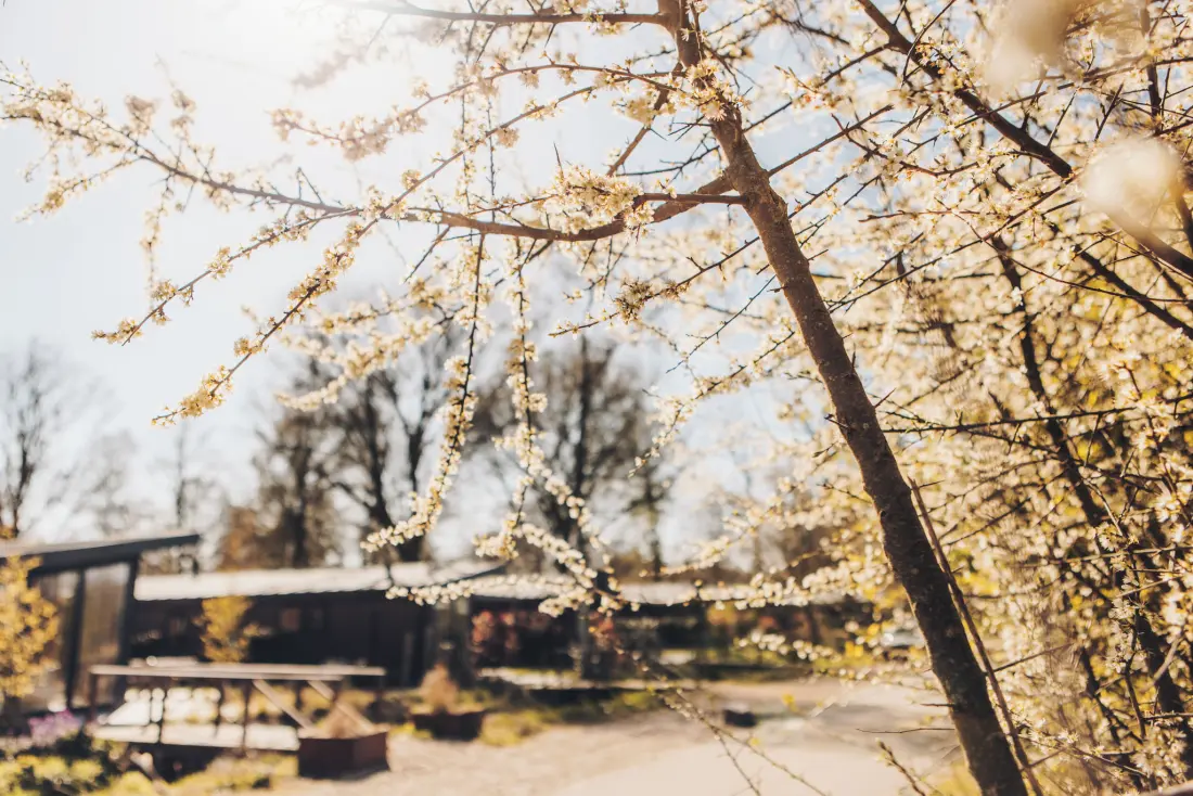 de Leughte Resort Renswoude