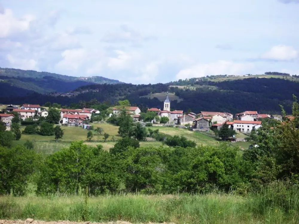 Maison de Vacances Retournac 3