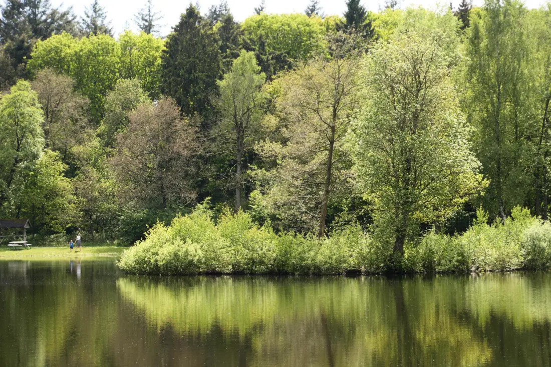 Camping 't Veld