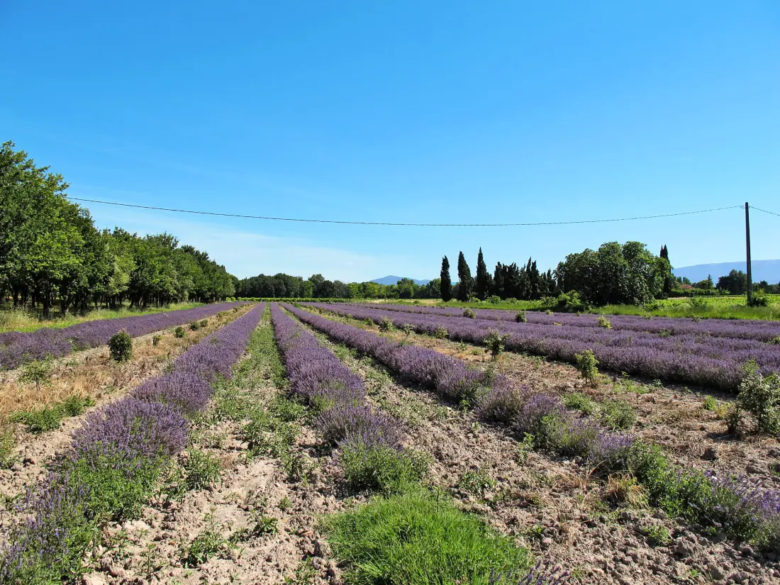 Maison de Vacances Richerenches