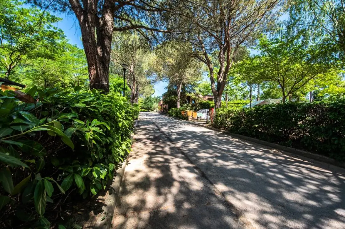 Camping Village Il Poggetto 3 étoiles★★★
