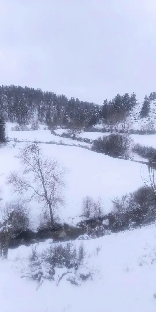 Gîte de France Lou vachou 4 épis