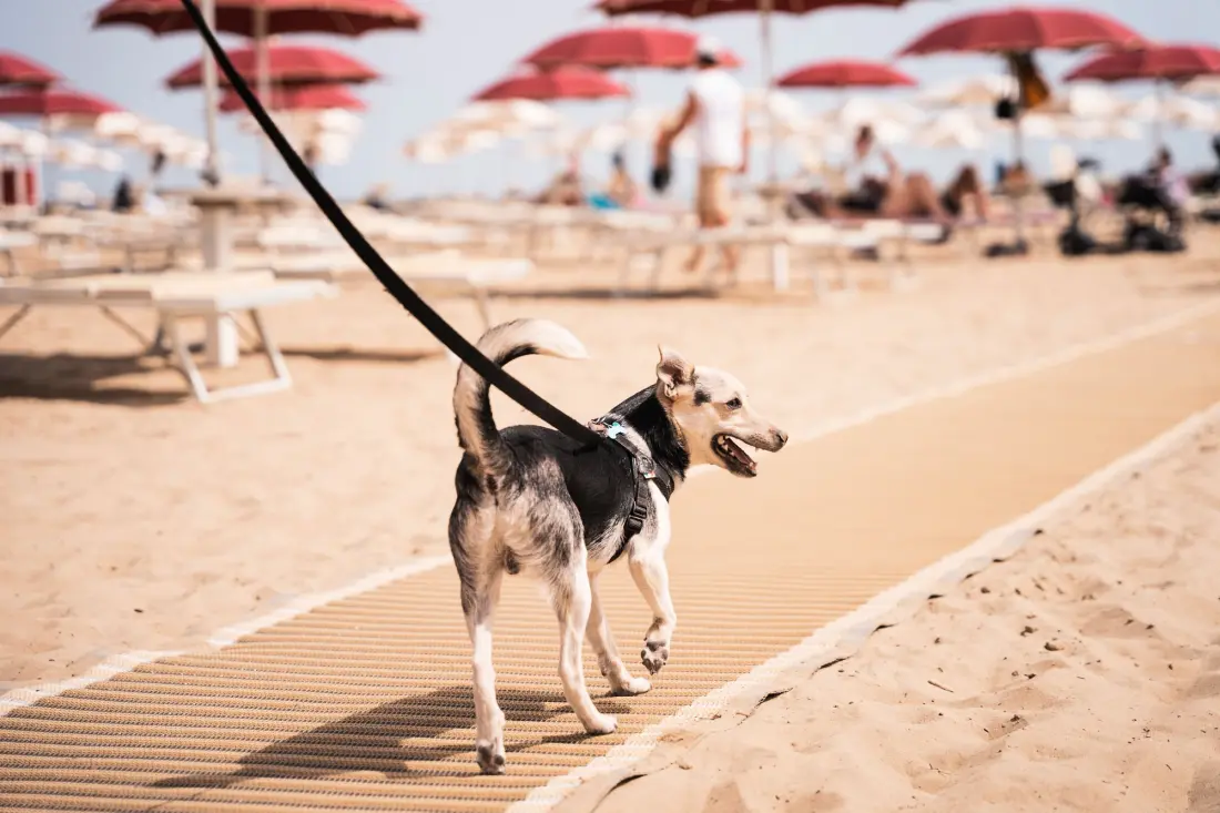 Club del Sole Rimini Family Resort  3 étoiles★★★
