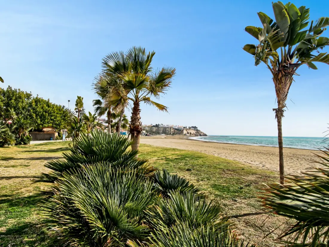 Location de Vacances Rincón de la Victoria 12