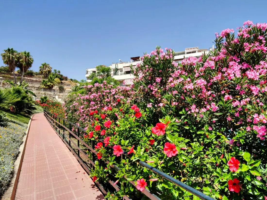 Location de Vacances Rincón de la Victoria 13