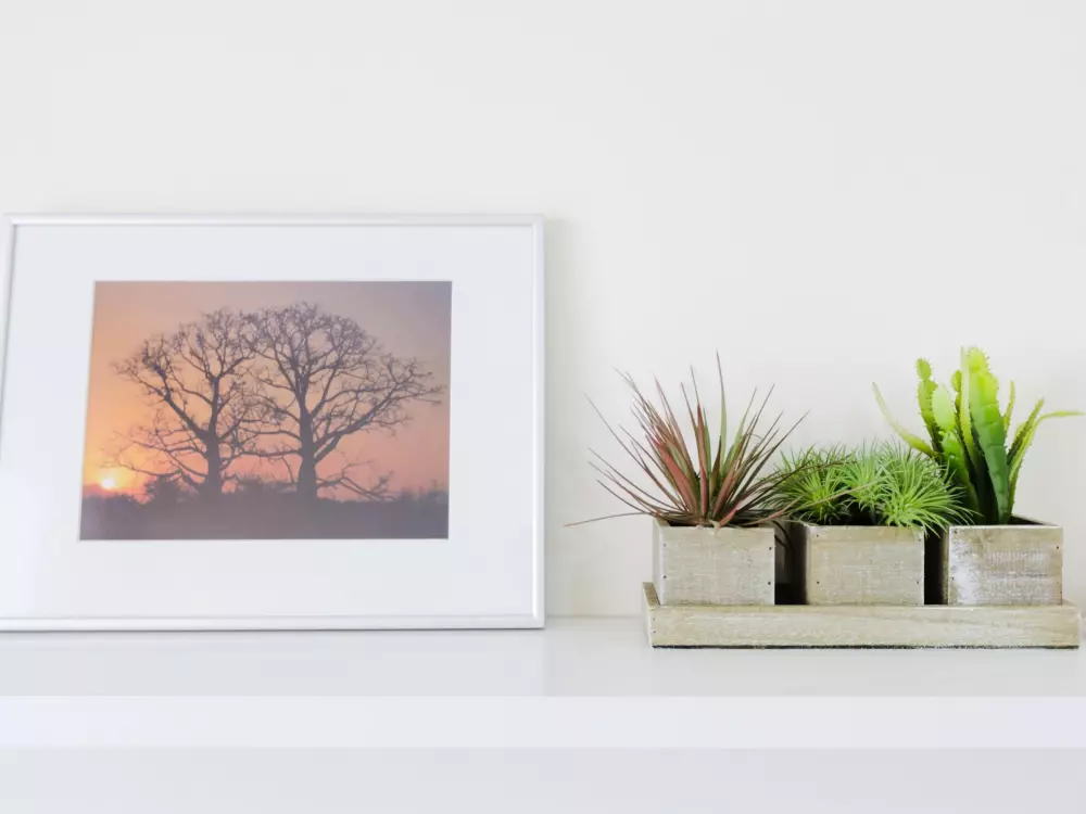 Location de Vacances Rincón de la Victoria 7