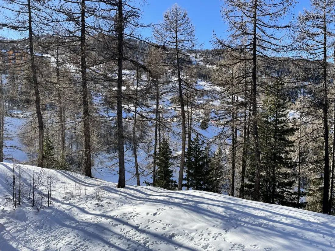 Résidence Belvedere