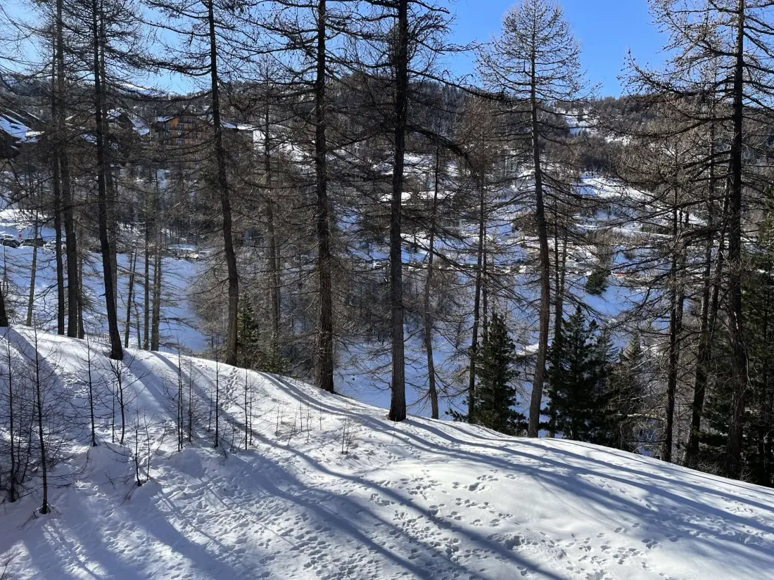 Résidence Belvedere