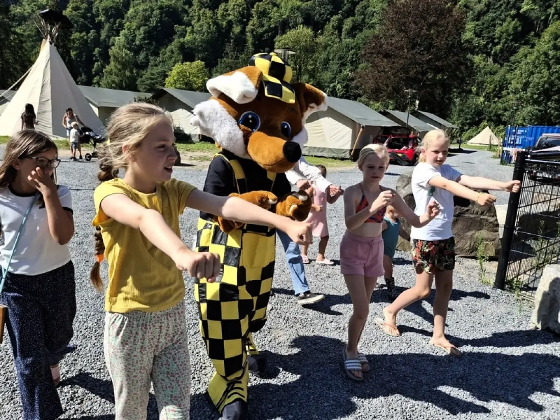 1-ouder camping Au Bord de l'Ourthe 2 étoiles★★